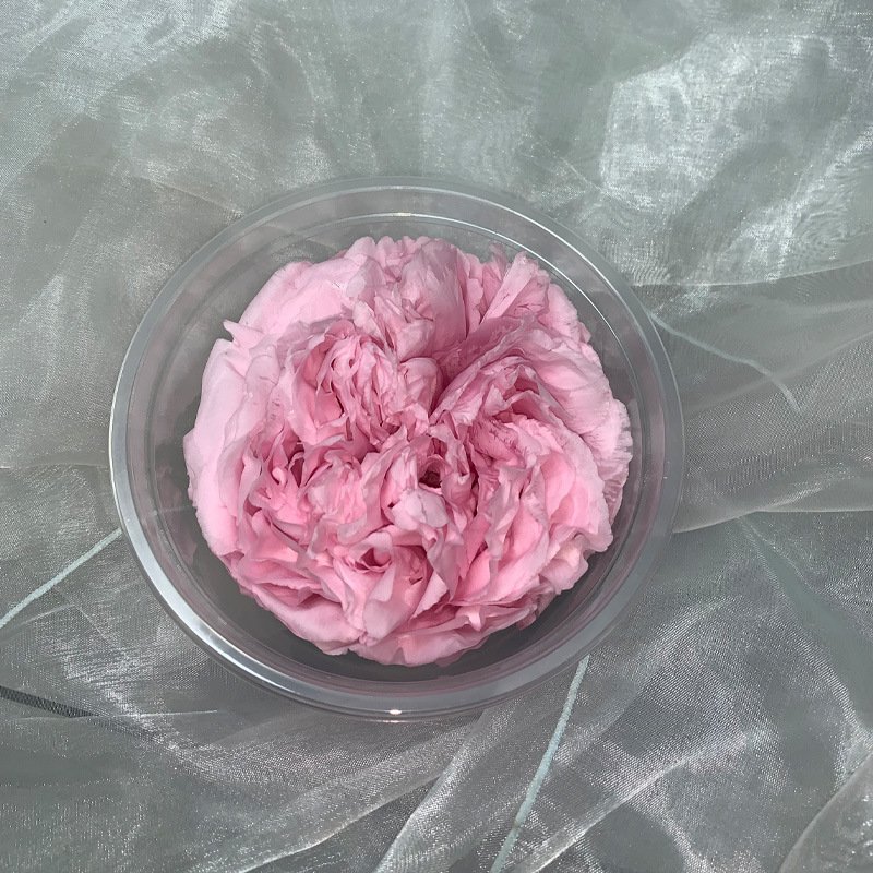 9-10cm Eternal Forever Everlasting Head Flower Preserved Peony