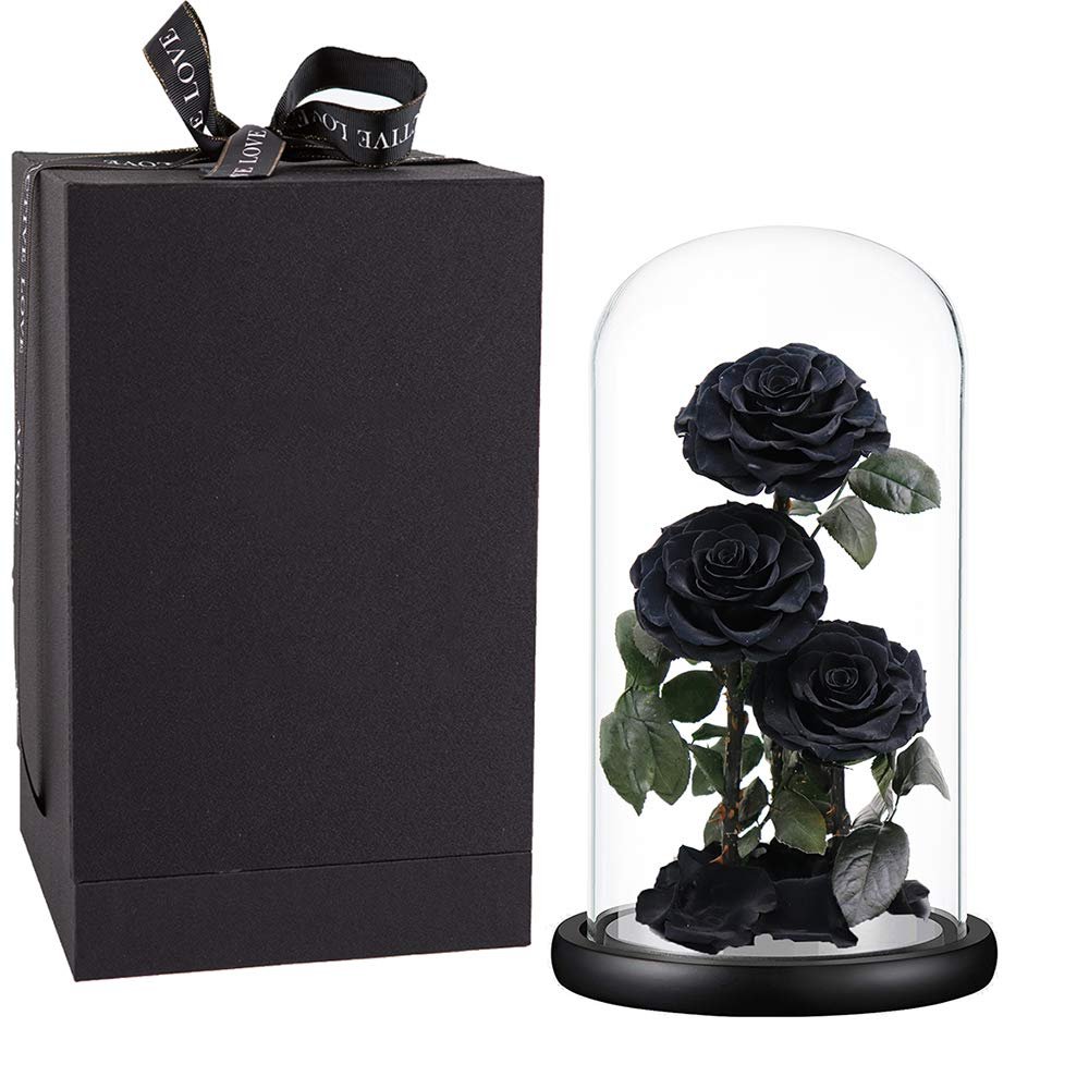 Black Three Roses Preserved Roses Glass Dome 2024 Real Touch Eternal Roses Preserved Flowers Wholesale for Home Wedding Decor