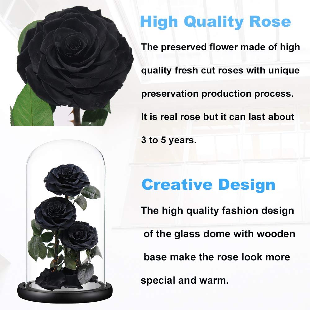 Black Three Roses Preserved Roses Glass Dome 2024 Real Touch Eternal Roses Preserved Flowers Wholesale for Home Wedding Decor