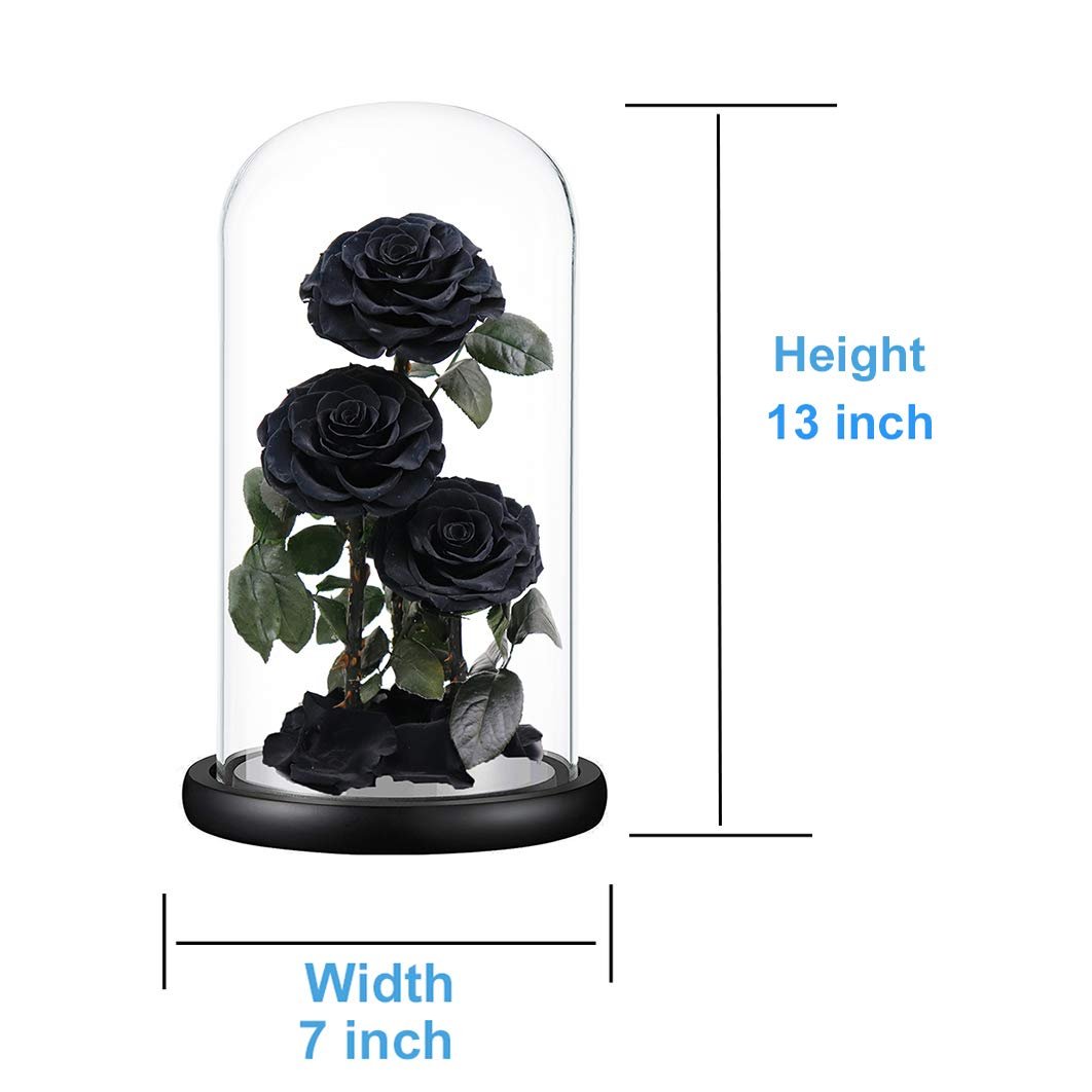 Black Three Roses Preserved Roses Glass Dome 2024 Real Touch Eternal Roses Preserved Flowers Wholesale for Home Wedding Decor