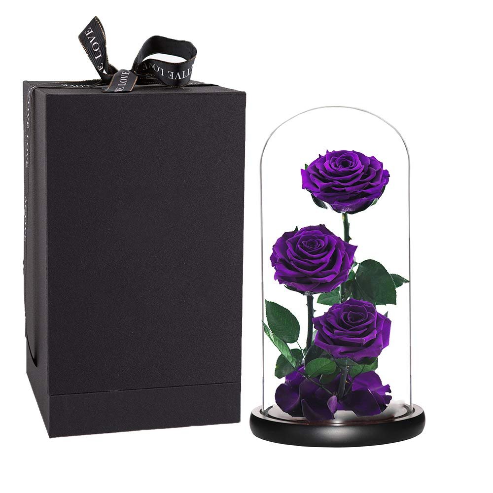 Black Three Roses Preserved Roses Glass Dome 2024 Real Touch Eternal Roses Preserved Flowers Wholesale for Home Wedding Decor