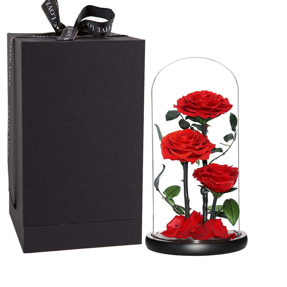 Black Three Roses Preserved Roses Glass Dome 2024 Real Touch Eternal Roses Preserved Flowers Wholesale for Home Wedding Decor