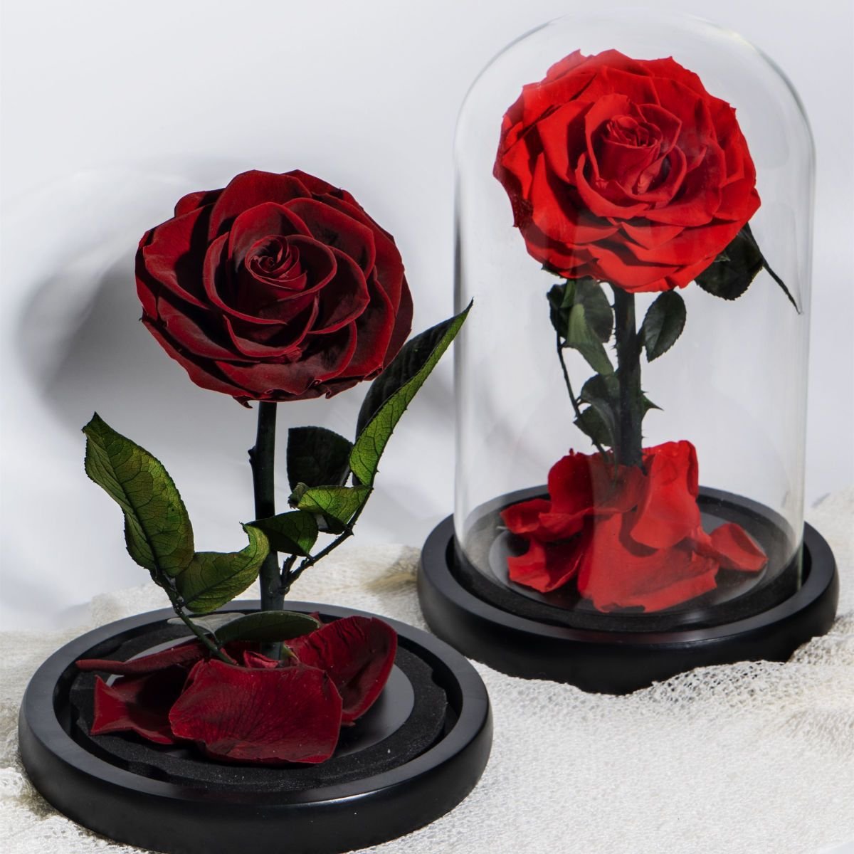 Eternal Rose Flowers Forever Preserved Roses in Glass Dome with LED for Mother's Day Christmas Weddings Valentine's Day