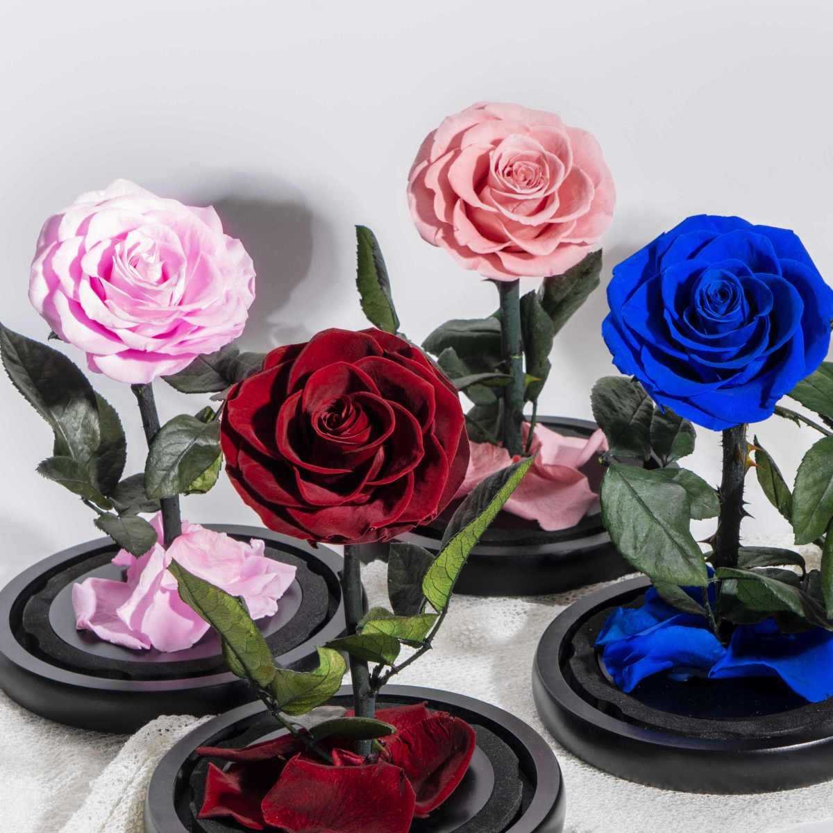 Eternal Rose Flowers Forever Preserved Roses in Glass Dome with LED for Mother's Day Christmas Weddings Valentine's Day
