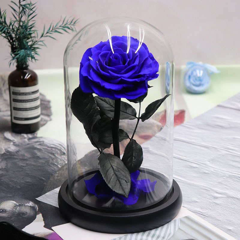 Eternal Rose Flowers Forever Preserved Roses in Glass Dome with LED for Mother's Day Christmas Weddings Valentine's Day