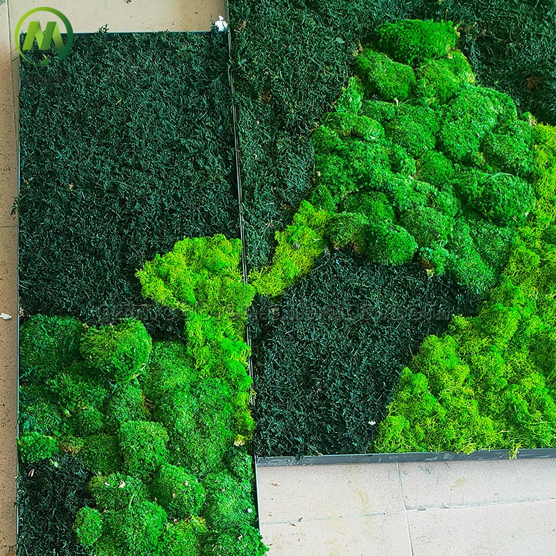 Natural Real Moss Wall Art Frame For Home Office Decor Green Wall Moss Natural Preserved Moss Wall