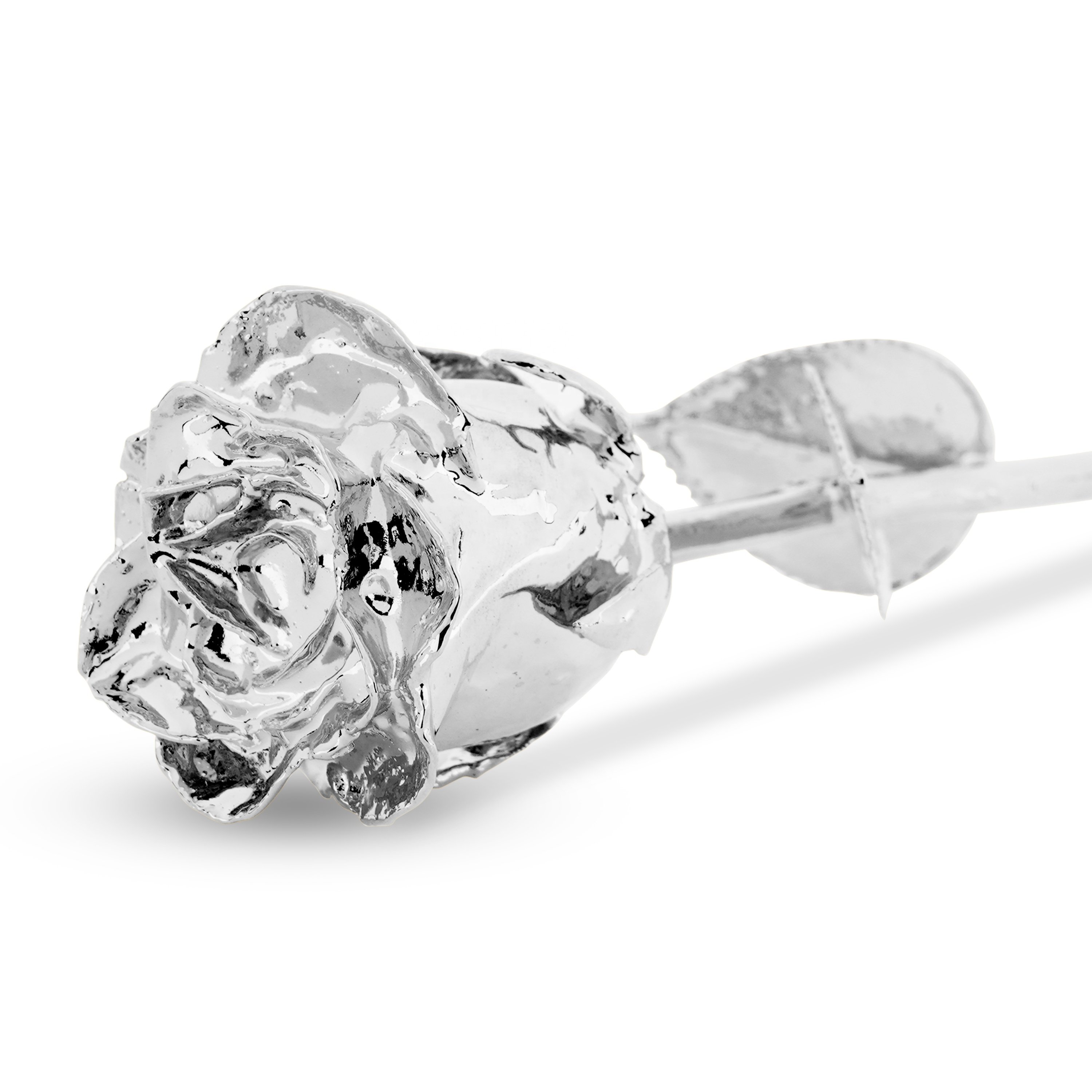 Elegant Silver Plated Natural Rose
