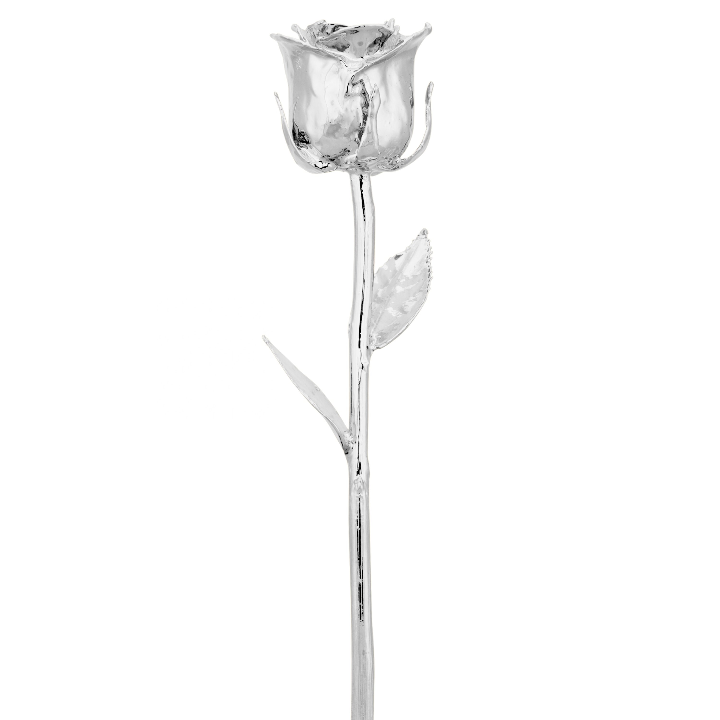 Elegant Silver Plated Natural Rose