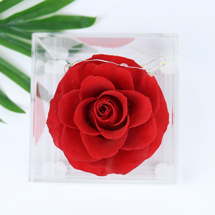YS-049 Free sample 2023 new design luxury everlasting roses valentines Day Gift preserved rose in acrylic gift box