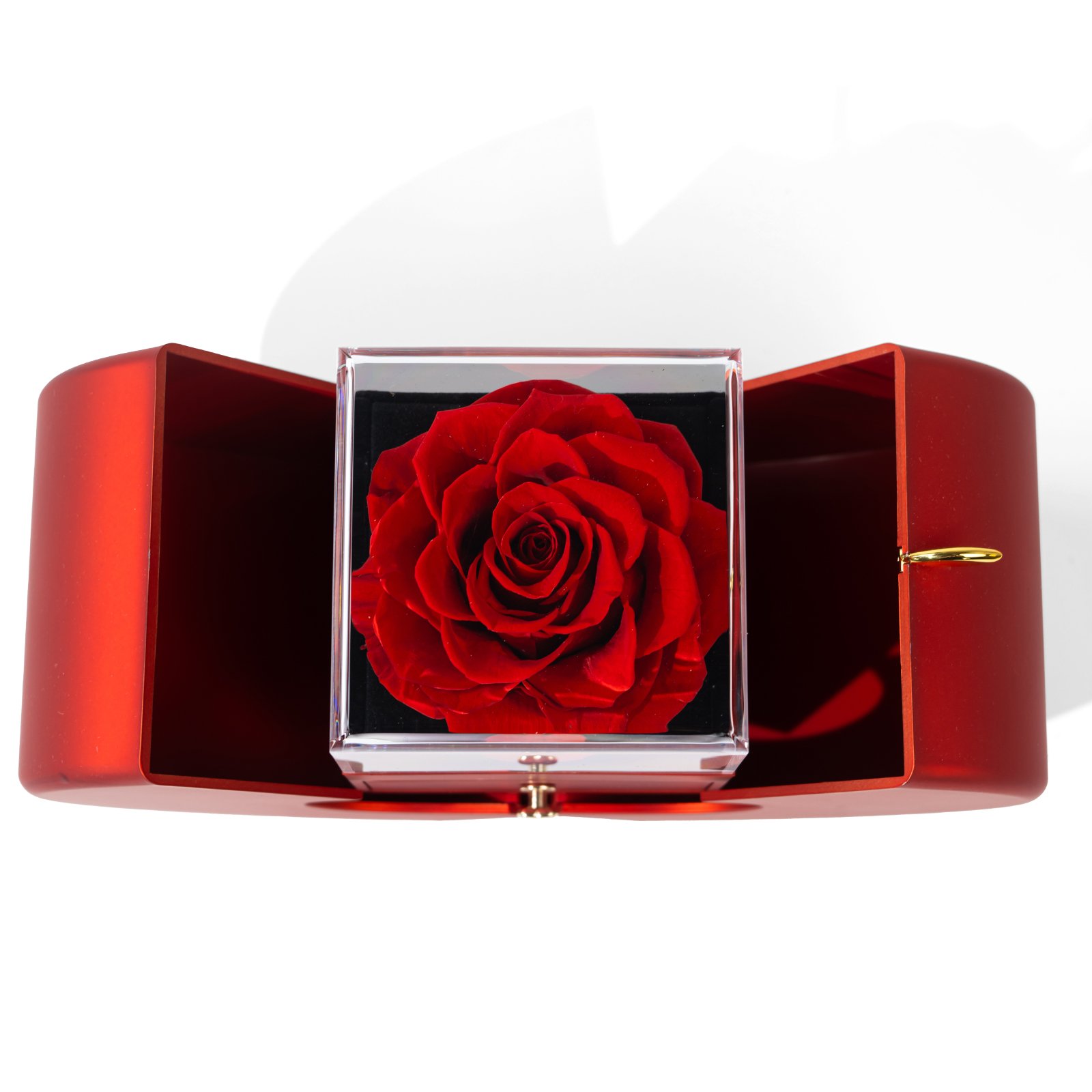 Preserved Flower Gift Idea Preserved Rose Flower Pink Valentines Day Gift Wedding Gift Apple Jewelry Box Eternal Forever Rose