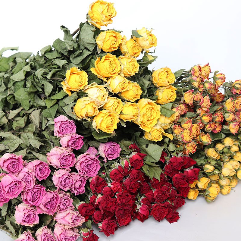 Wedding Rose Decoration Dry Flowers Forever Withering Floral Decorations Can Collect DIY Material Plants Dry Preserved Roses