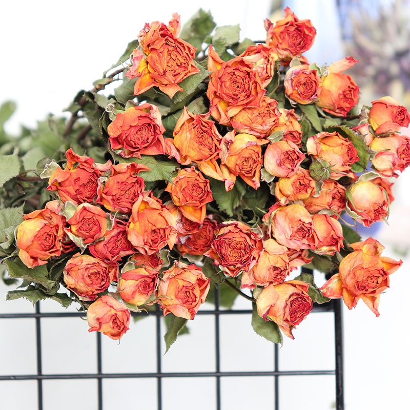 Wedding Rose Decoration Dry Flowers Forever Withering Floral Decorations Can Collect DIY Material Plants Dry Preserved Roses