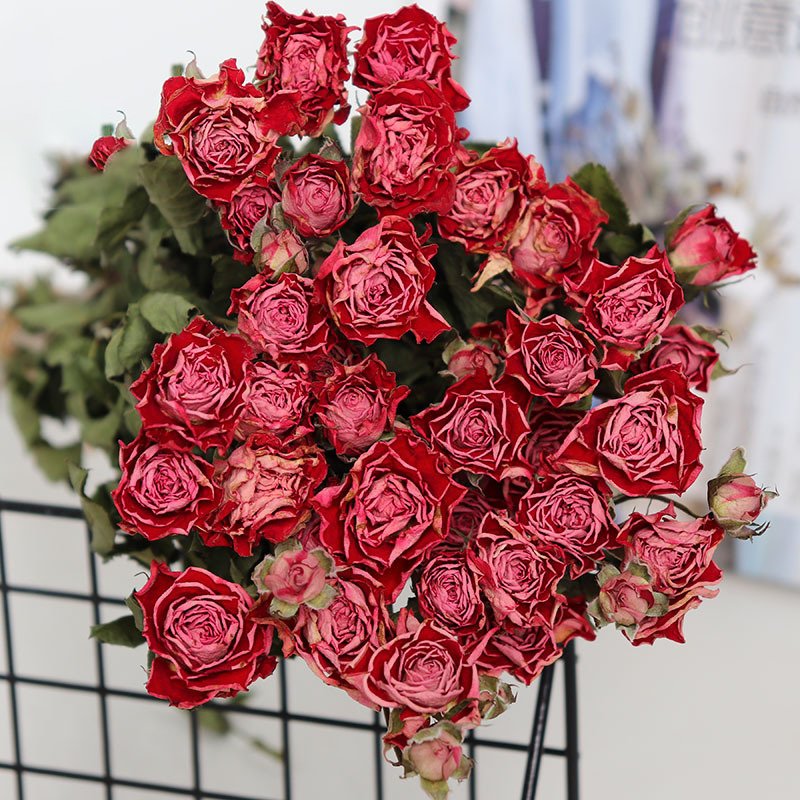 Wedding Rose Decoration Dry Flowers Forever Withering Floral Decorations Can Collect DIY Material Plants Dry Preserved Roses