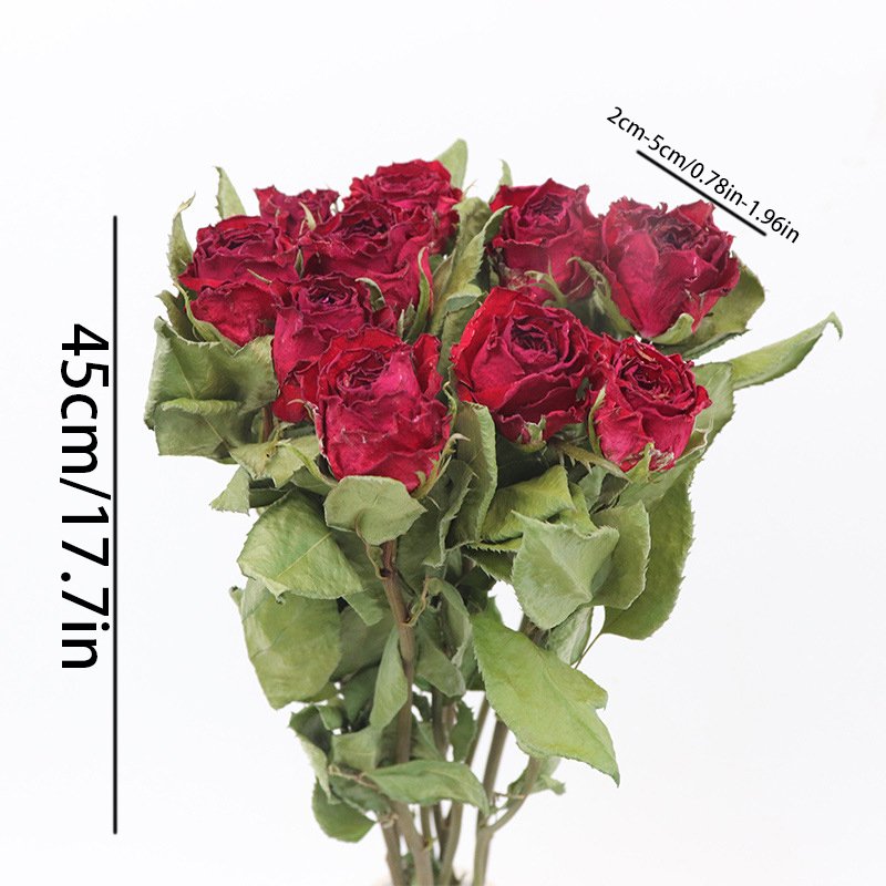 Wedding Rose Decoration Dry Flowers Forever Withering Floral Decorations Can Collect DIY Material Plants Dry Preserved Roses