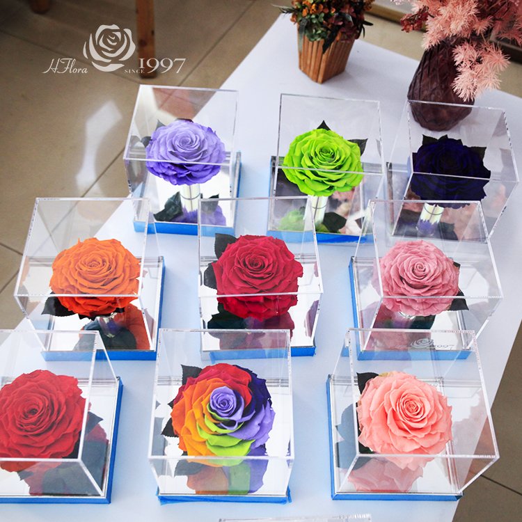 HFloral Wholesale Eternal Roses real Flowers Real Natural Preserved Roses Flowers And Plants In Box for Valentine's Gif
