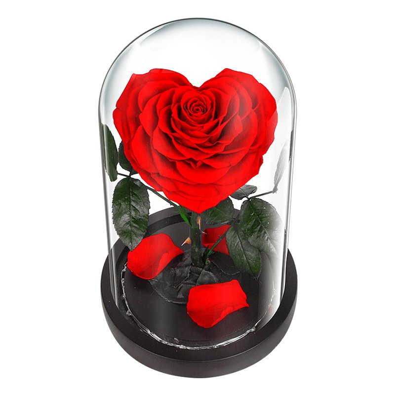 Wholesale Junio Luxury gift customization Christmas gift giving preserved rose in glass beauty and the beast