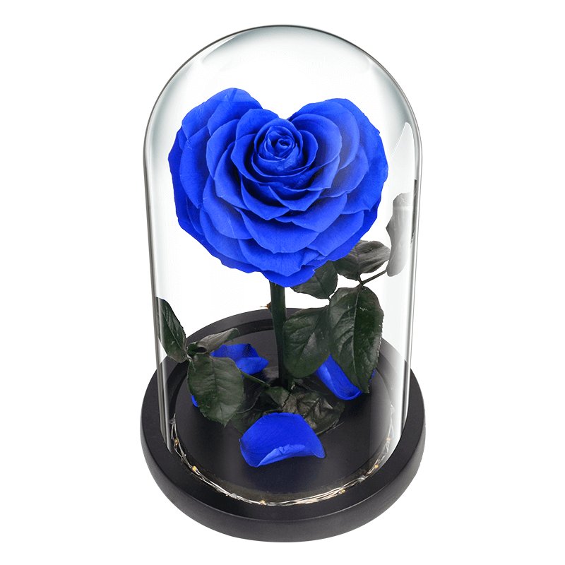 Wholesale Junio Luxury gift customization Christmas gift giving preserved rose in glass beauty and the beast