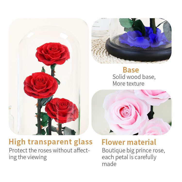 YS-018 Wholesale valentines day gift Real in Glass Dome Roses Never Withered Flower Preserved Flowers Preserved Rose