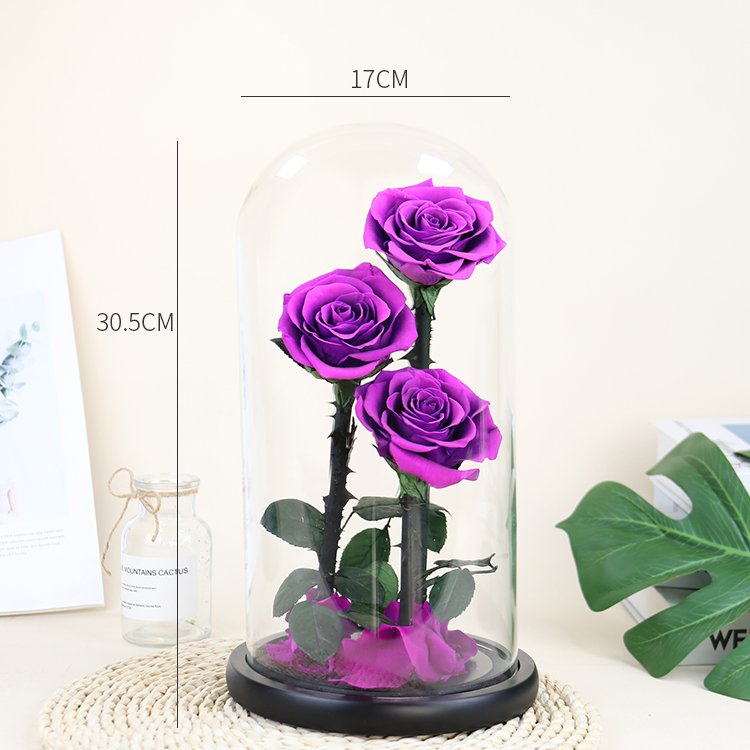 YS-018 Wholesale valentines day gift Real in Glass Dome Roses Never Withered Flower Preserved Flowers Preserved Rose