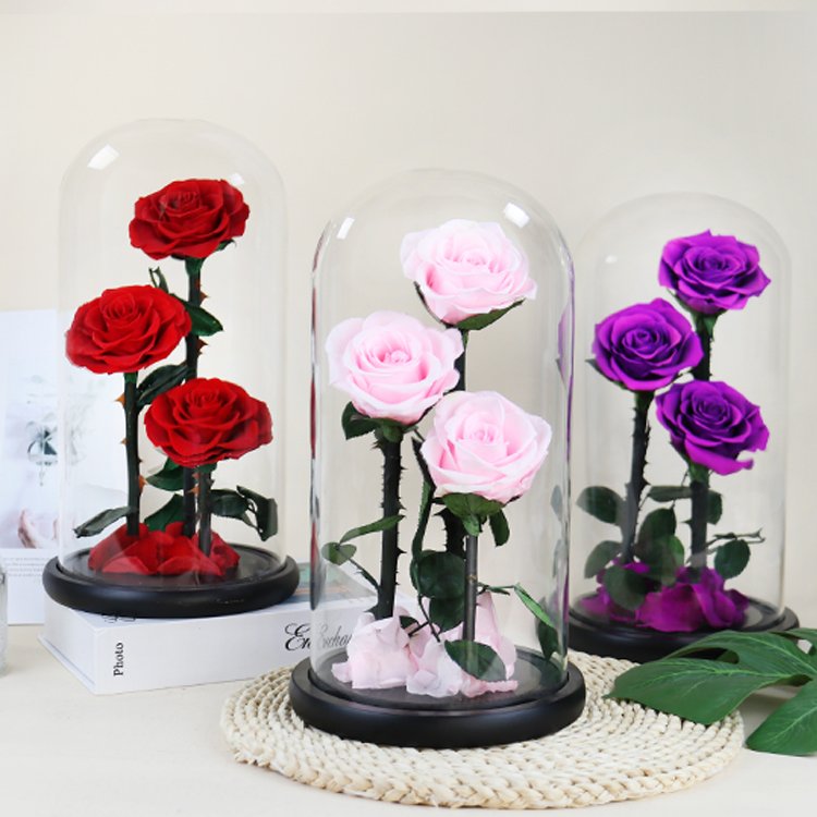 YS-018 Wholesale valentines day gift Real in Glass Dome Roses Never Withered Flower Preserved Flowers Preserved Rose