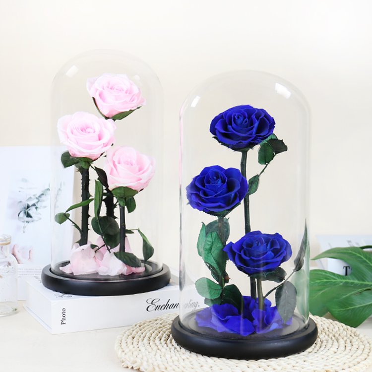 YS-018 Wholesale valentines day gift Real in Glass Dome Roses Never Withered Flower Preserved Flowers Preserved Rose
