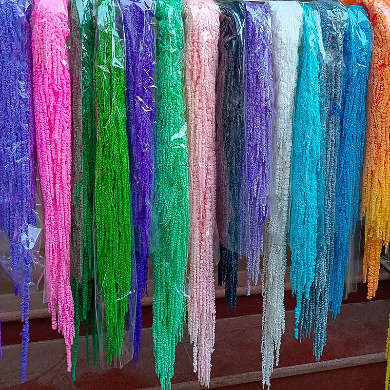 Preserved flowers & plants wholesale Natural Real Flower Preserved Amaranthus Hanging dried flowers for wedding decoration