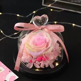 Preserved Fresh Flower Glass Cover Rose Gift Box Christmas Gift for Girlfriend and Friend Birthday Gift