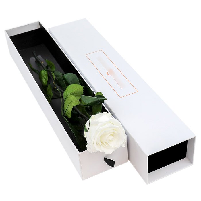 long steam roses preserve Everlasting long life rose Enchanted Long Lasting eternity Infinity forever preserved roses with stem