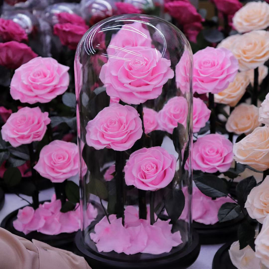 forever rose flower preserved rose in glass dome for decoration large prince everlasting eternity eternal rose wholesale gift