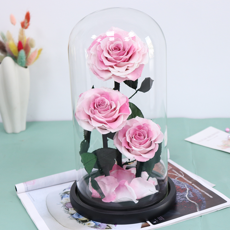 forever rose flower preserved rose in glass dome for decoration large prince everlasting eternity eternal rose wholesale gift