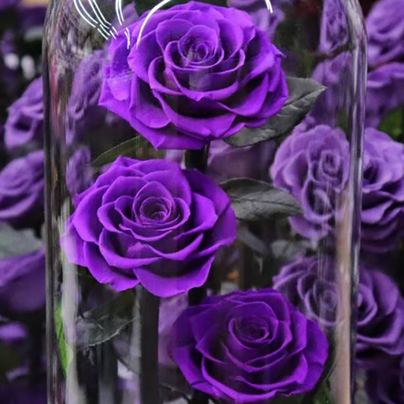 forever rose flower preserved rose in glass dome for decoration large prince everlasting eternity eternal rose wholesale gift