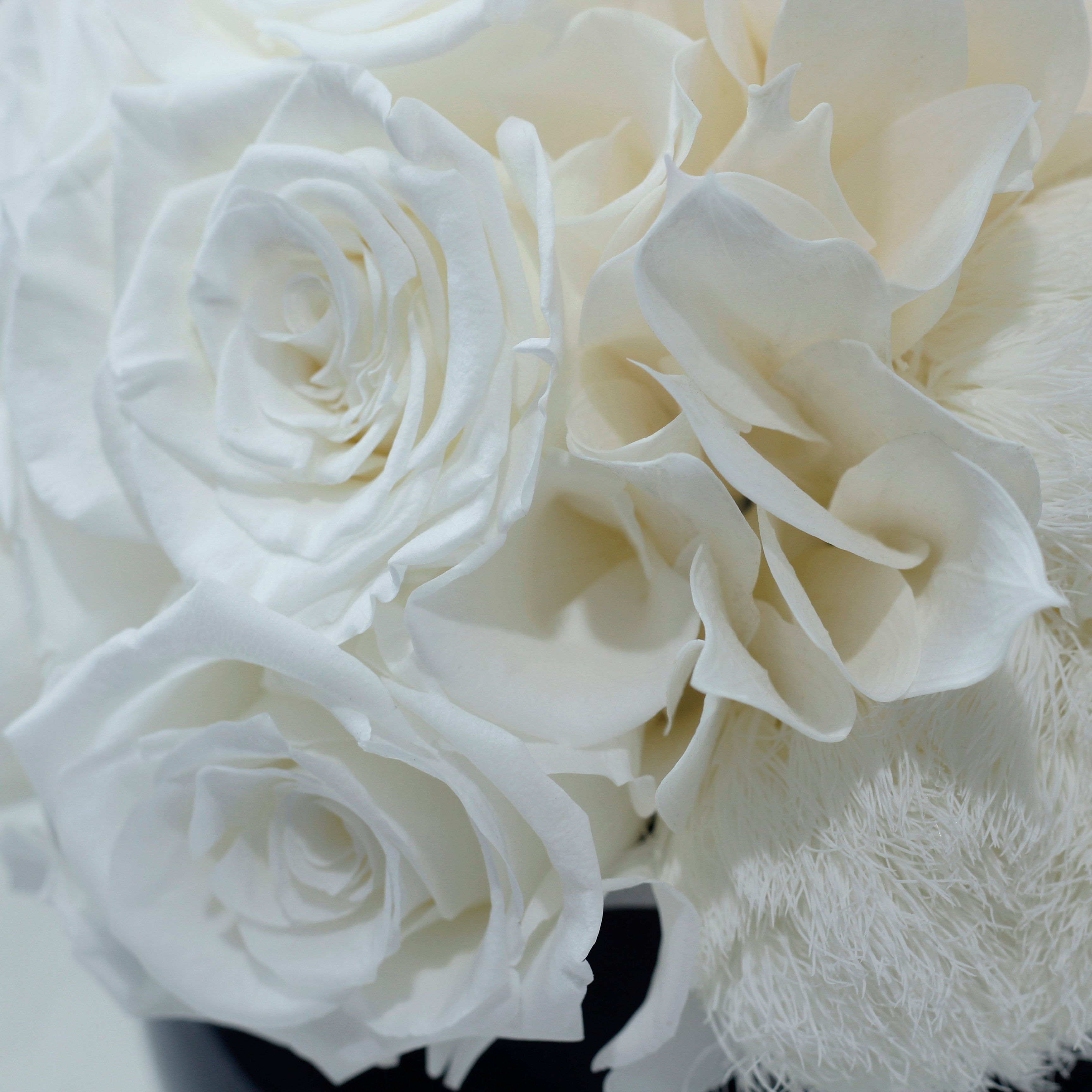 Lovebay Home Deco Table Gifts Preserved Natural Flowers Long Lasting Flower Preservation Forever Real Preserved Roses in a Vase
