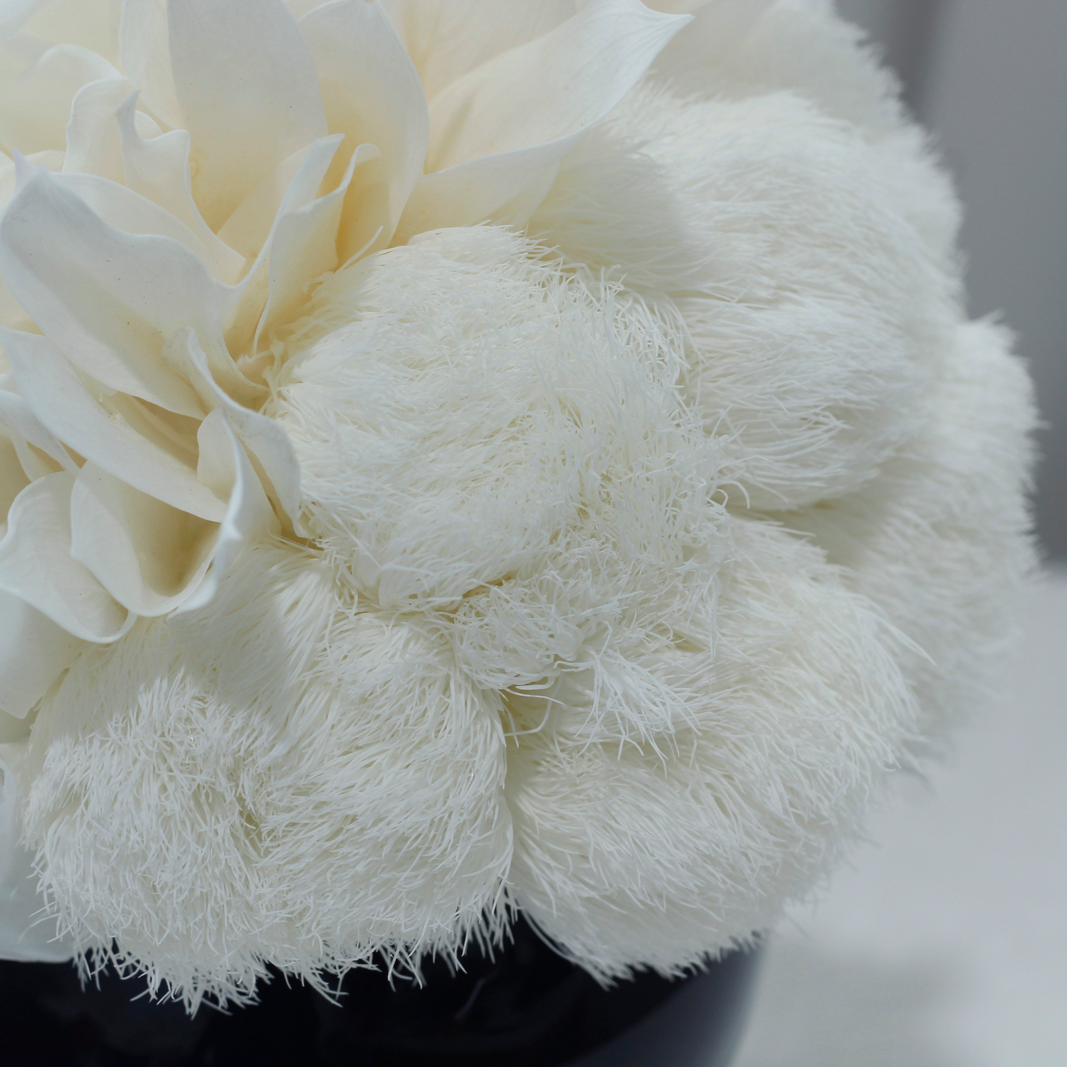 Lovebay Home Deco Table Gifts Preserved Natural Flowers Long Lasting Flower Preservation Forever Real Preserved Roses in a Vase