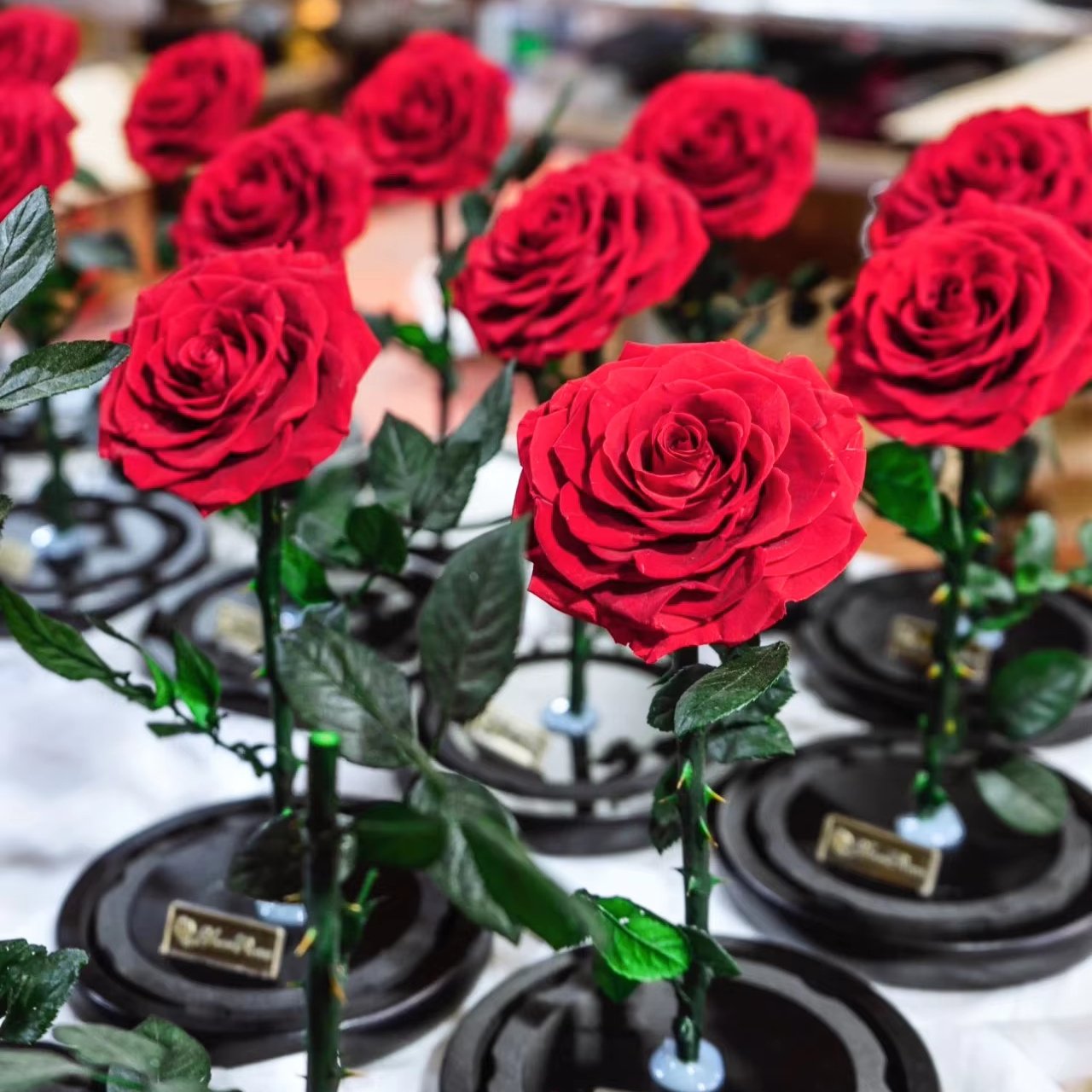 Factory Outlet Preserved Flowers & Plants Eternal Rose Flower in Glass Dome for Christmas Gift