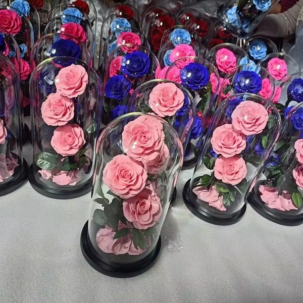 Factory Outlet Preserved Flowers & Plants Eternal Rose Flower in Glass Dome for Christmas Gift