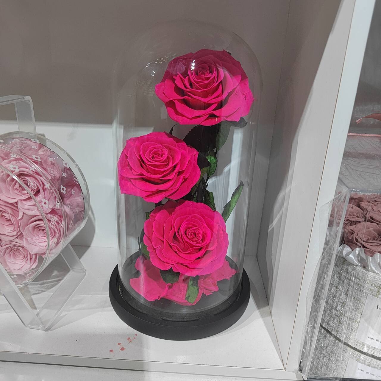 Factory Outlet Preserved Flowers & Plants Eternal Rose Flower in Glass Dome for Christmas Gift
