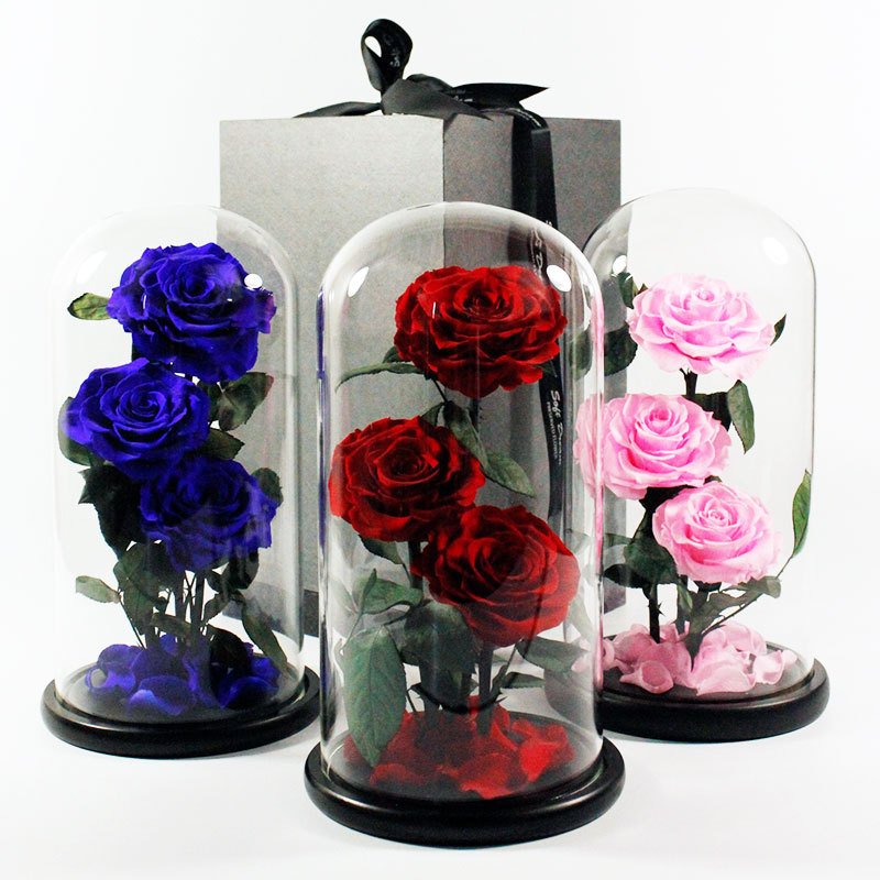 Factory Outlet Preserved Flowers & Plants Eternal Rose Flower in Glass Dome for Christmas Gift