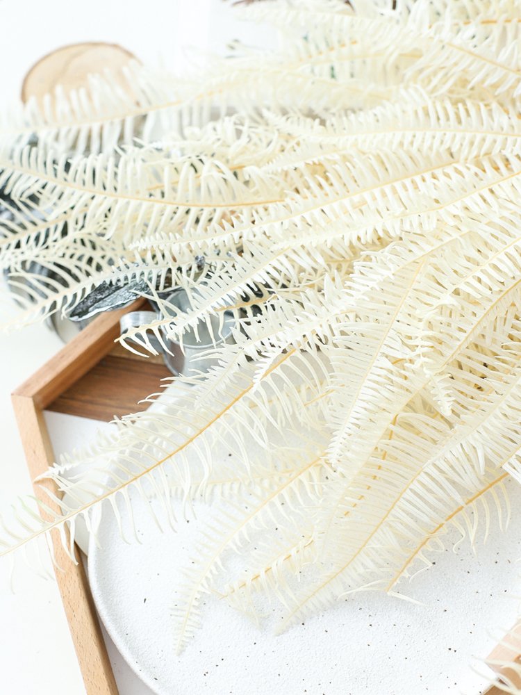 SumFlora Most popular Import preserved flower natural big fern leaf for home decoration