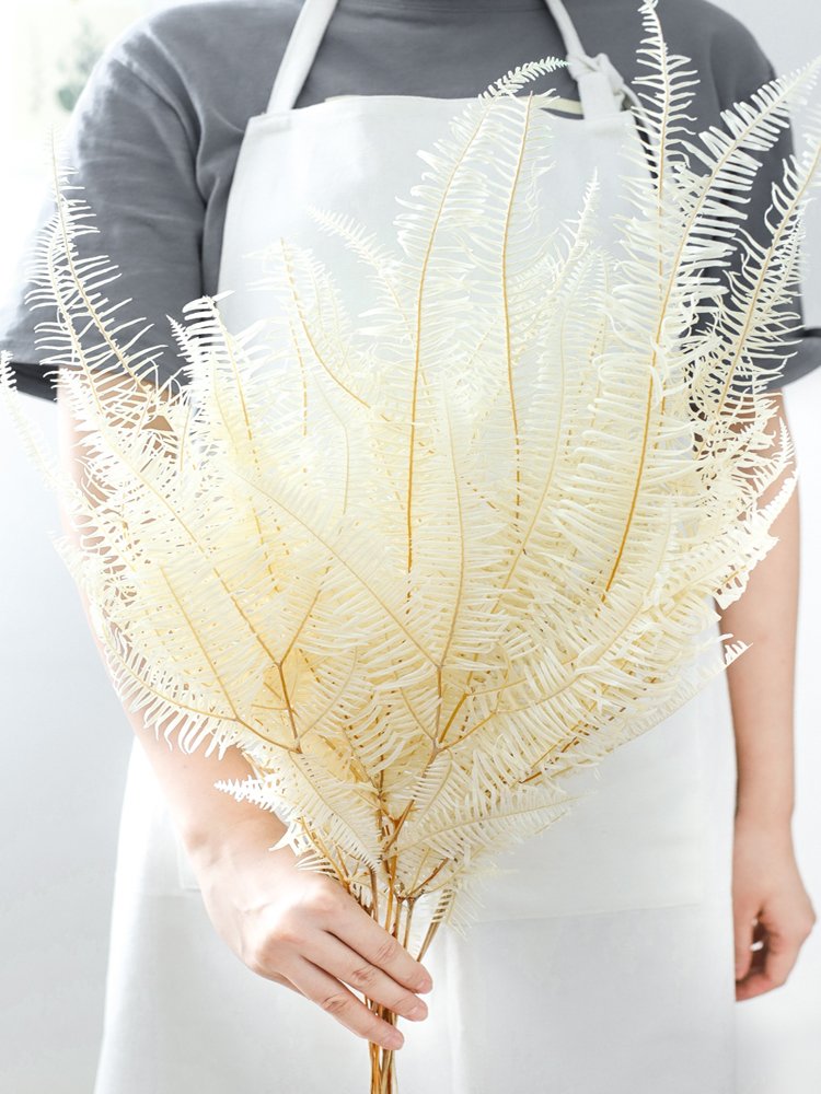 SumFlora Most popular Import preserved flower natural big fern leaf for home decoration
