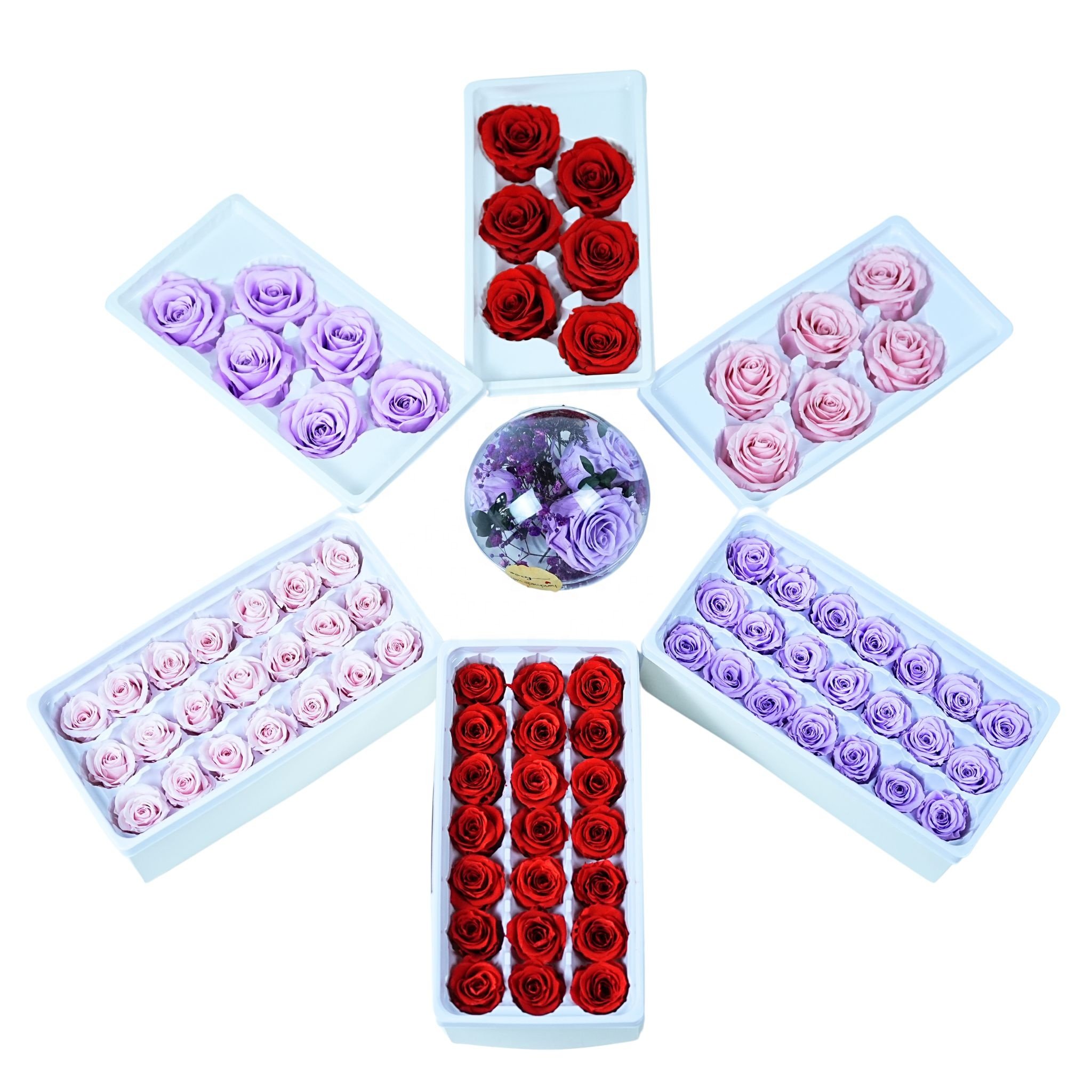 Eternal roses preserved flowers rosas eternas preservadas 2024 decorative rose forever box gift preserved roses