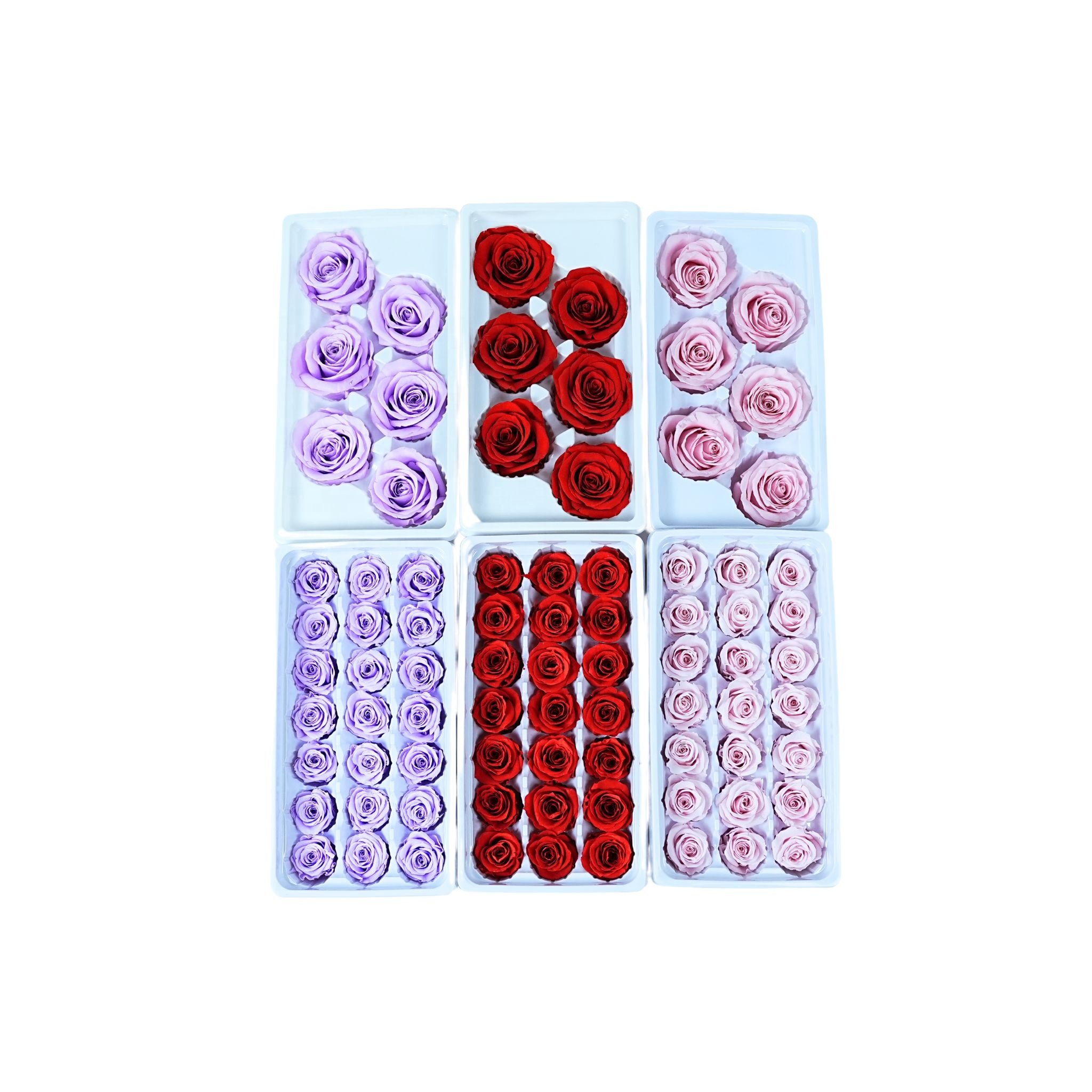Eternal roses preserved flowers rosas eternas preservadas 2024 decorative rose forever box gift preserved roses