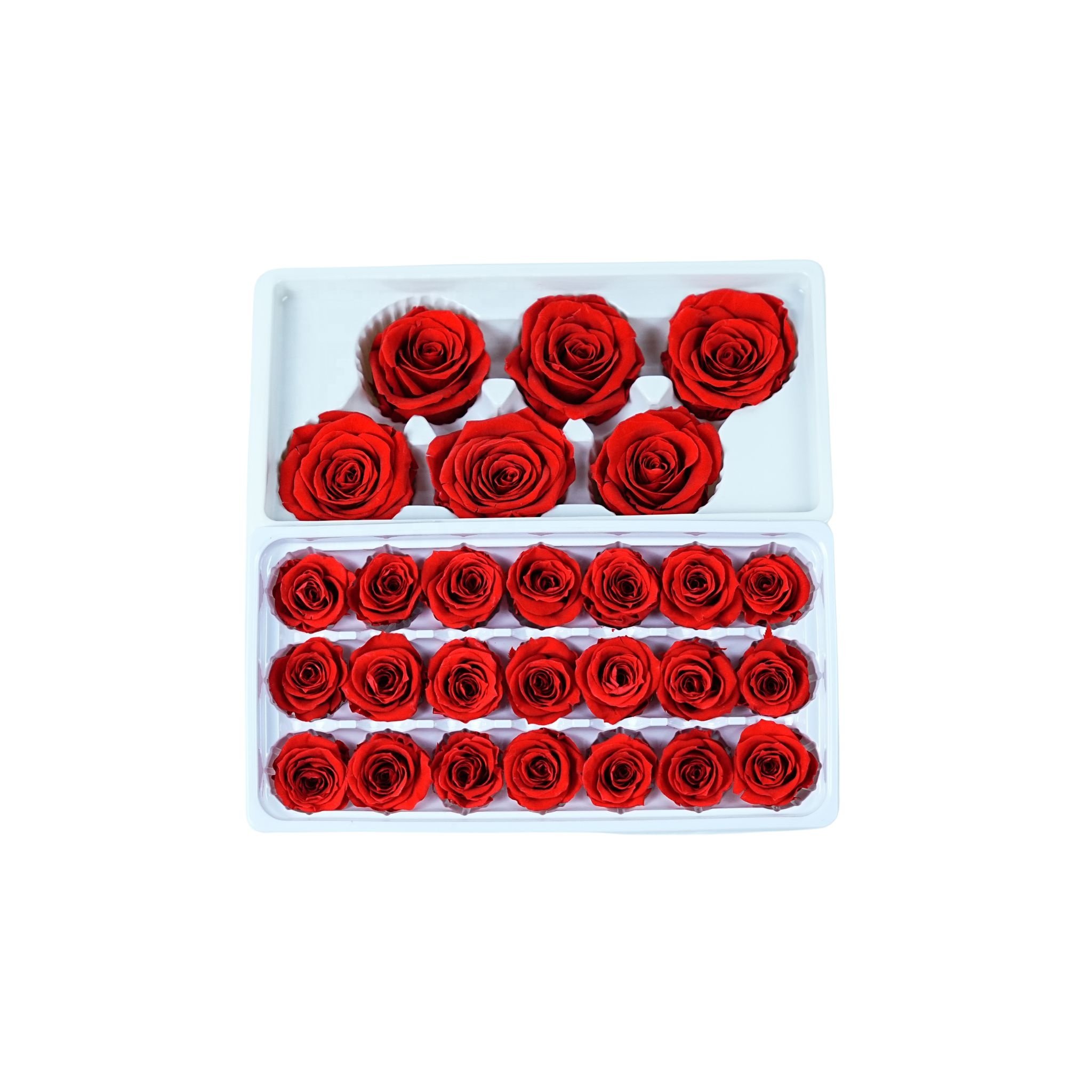Eternal roses preserved flowers rosas eternas preservadas 2024 decorative rose forever box gift preserved roses