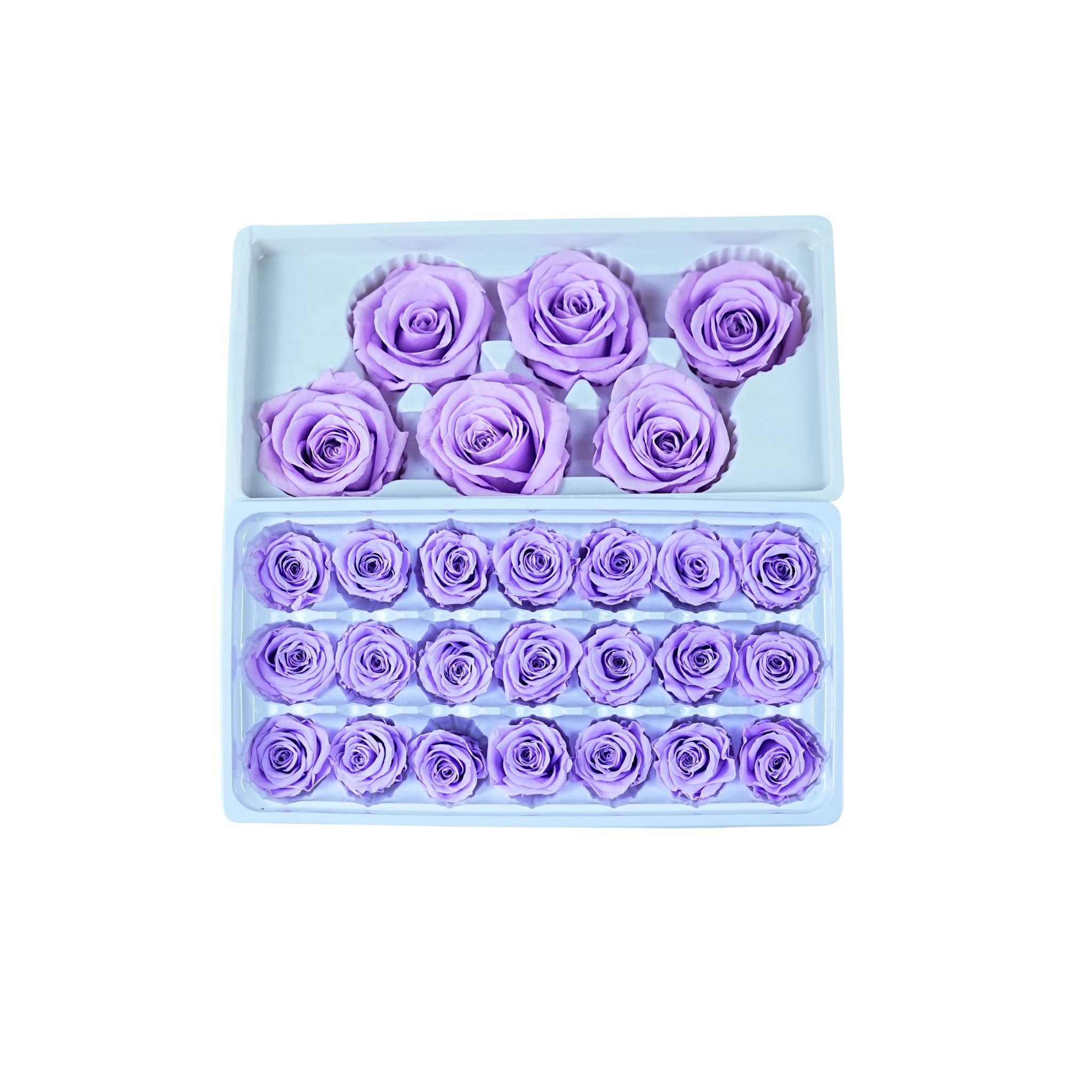 Eternal roses preserved flowers rosas eternas preservadas 2024 decorative rose forever box gift preserved roses