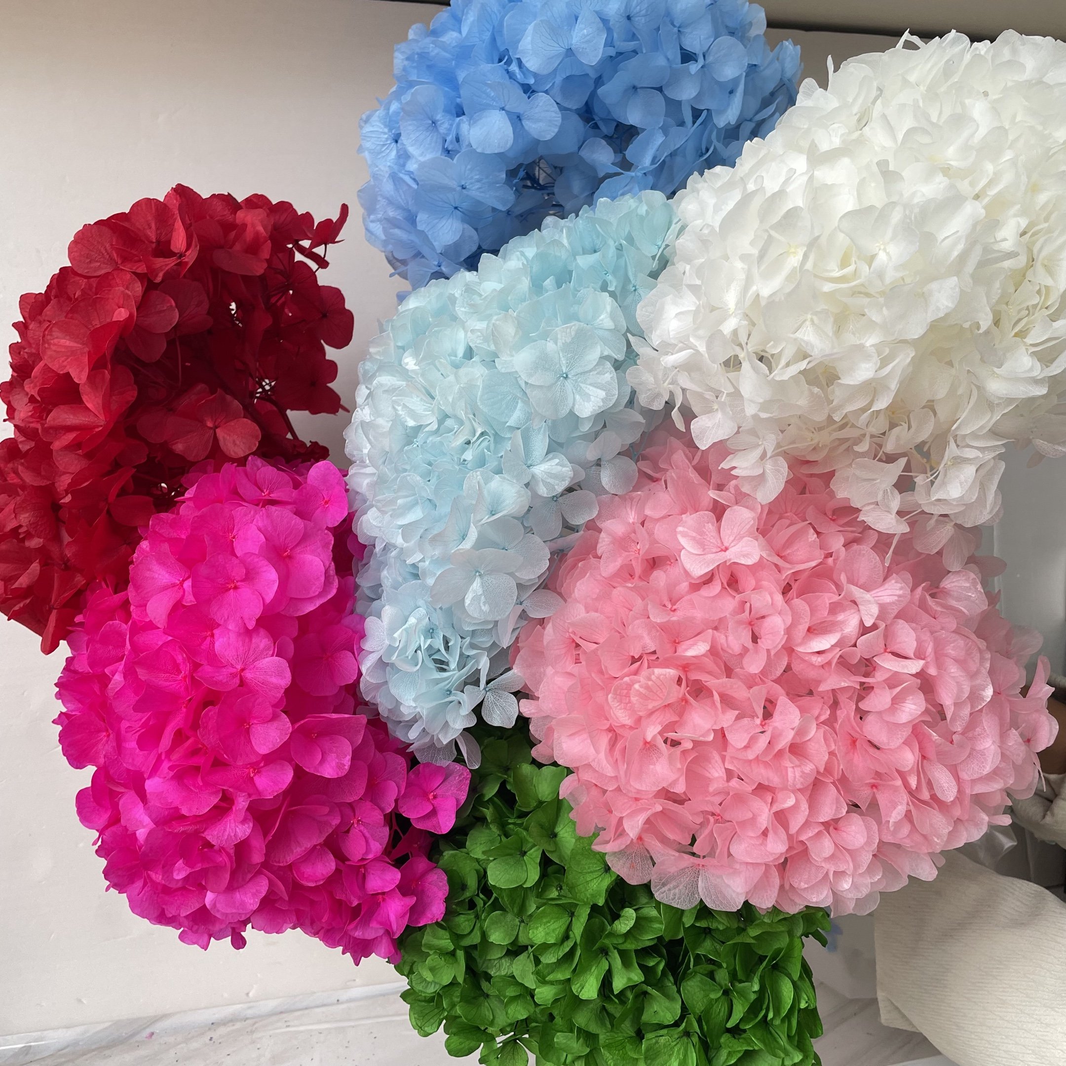 Ins Popular Release Green Preserved Big Leaf Hydrangeas Preserved Hydrangea Flowers For Wedding Decoration