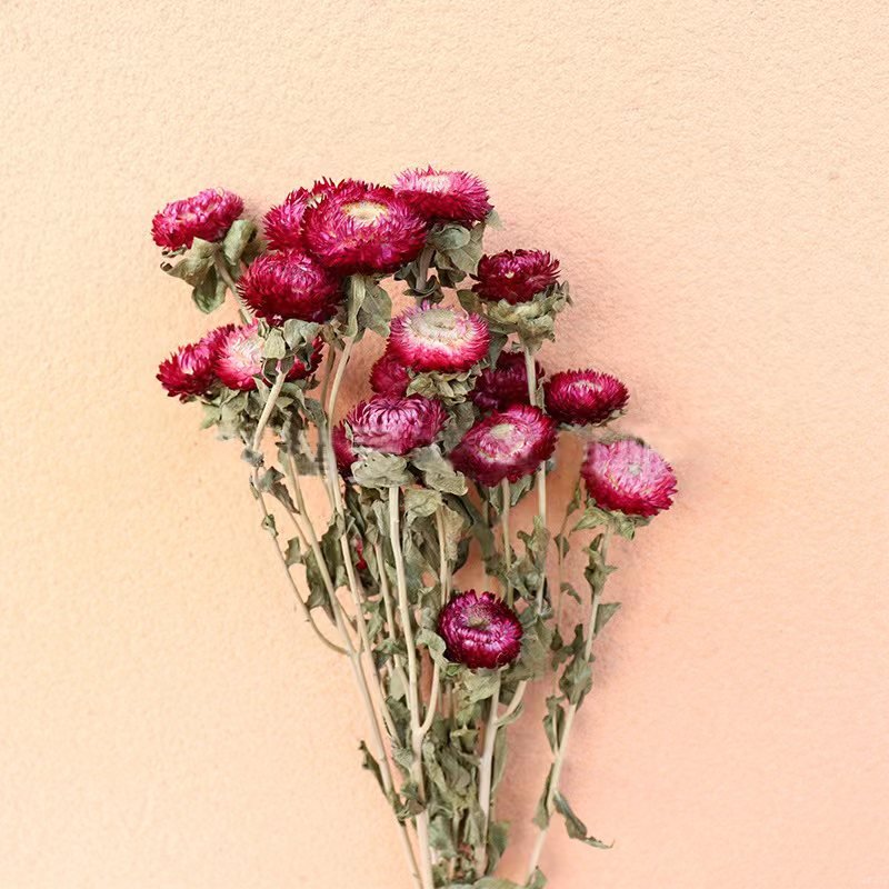 Dry Daisies Home Furnishings Decor DYI Flowers Arrangement Natural Decoration Accessories Helichrysum Dried Flower Bouquet