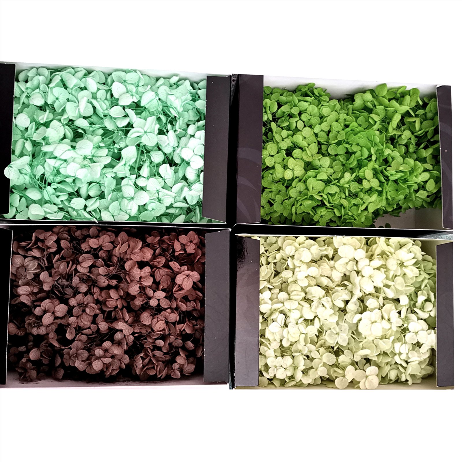 Wholesale Preserved Hydrangea Real Touch Hydrangea In Box DIY Flowers Gift Bouquet For Wedding Party Festival Decor