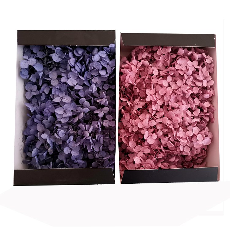 Wholesale Preserved Hydrangea Real Touch Hydrangea In Box DIY Flowers Gift Bouquet For Wedding Party Festival Decor