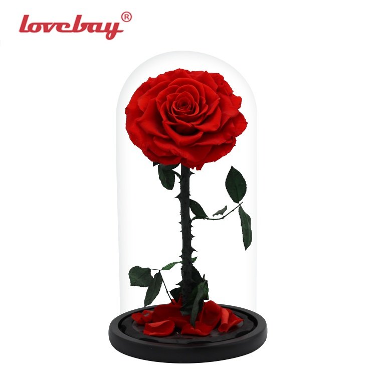 SPECIAL PRICE OFFER Natural Rose Mothers Day Gift Decor Everlasting Forever Eternal Rose Preserved Flower in Glass Dome Led