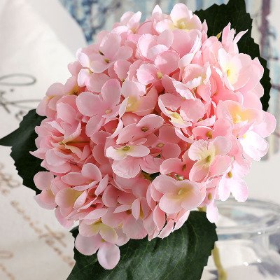 High quality11 fork Wholesale boho single anna preserved hydrangea flowers preserved real hydrangea forever preserved hydrangea