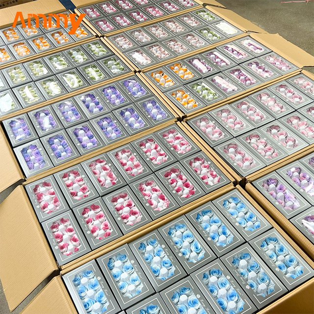 Ammy A Grade 4-5 Cm Preserved Rose head flower Christmas flower material rainbow color flowers double color decoration